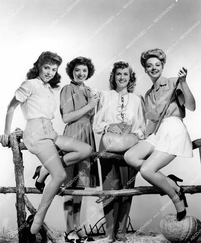 crp-18118 1944 beauties Nan Wynn, Jeff Donnell, Anita Louise, Leslie Brooks posing w pumpkins crp-18118