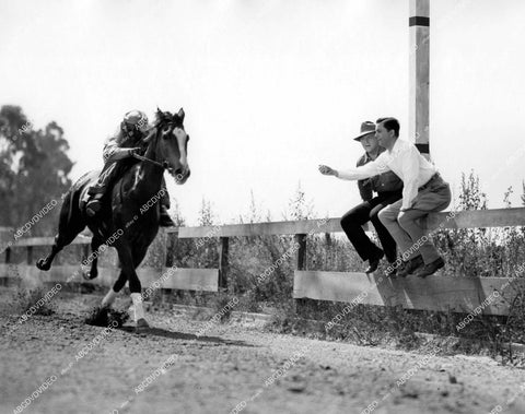 crp-18337 1940 Robert Young, William Gargan training the horse film Sporting Blood crp-18337