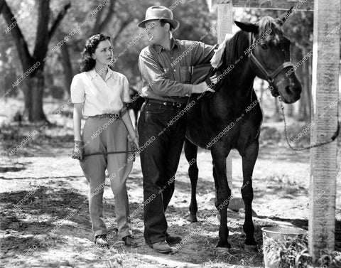 crp-18344 1940 Robert Young, Maureen O'Sullivan film Sporting Blood crp-18344