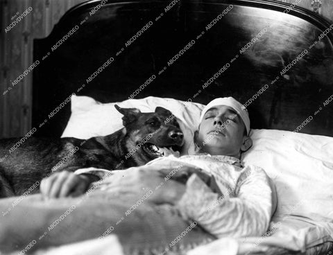 crp-18685 1927 Charles Delaney, Napoleon the dog silent film The Thirteenth 13th Hour crp-18685