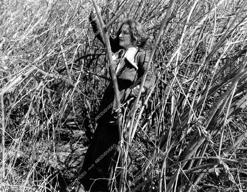 crp-18844 1919 Pauline Frederick silent film The Peace of Roaring River crp-18844