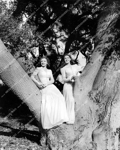 crp-18970 1944 Evelyn Keyes, Jinx Falkenburg sitting in a tree film Nine Girls crp-18970