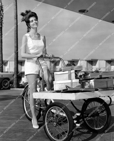 crp-19044 circa 1959 pretty Barbara Dunnington delivers Christmas packages at Palm Springs Riviera Hotel crp-19044