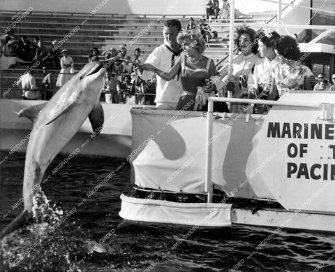 crp-19050 1957 Miss Universe contestants Valeria Fabrizzi Miss Italy, Terezinha Morango Miss Brazil, Kyoko Otani Miss Japan, Consuelo Gomez Miss Venezuela at Marineland of the Pacific feeding dolphins crp-19050