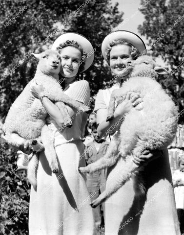 crp-19077 1939 twins Irene & Madeline Spencer w twin lambs for Annual Maine Twin Party crp-19077