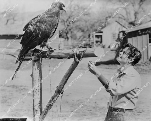 crp-00201 Glenn Ford feeding an eagle crp-00201
