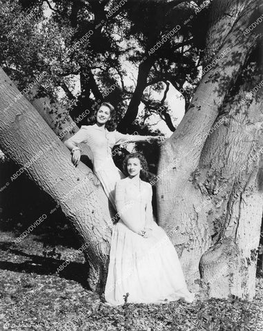 crp-02363 1944 Jinx Falkenburg, Evelyn Keyes sitting in a tree film Nine Girls crp-02363