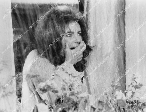 crp-02385 1973 Elizabeth Taylor at the rain drenched window film Night Watch crp-02385