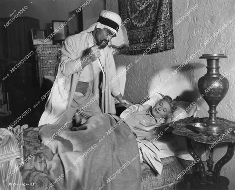 crp-03351 1952 George Khoury, Joan Davis film Harem Girl crp-03351