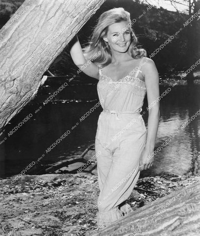 crp-03600 1966 gorgeous Linda Evans TV The Big Valley crp-03600