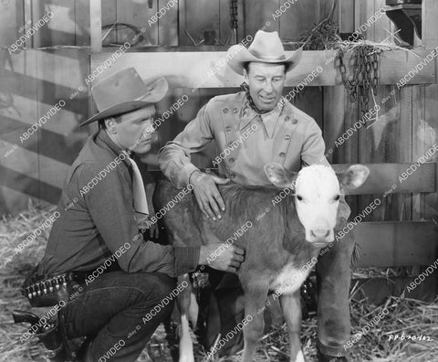 crp-03647 1951 Myron Healey, Bill Elliott and baby calf film The Longhorn crp-03647