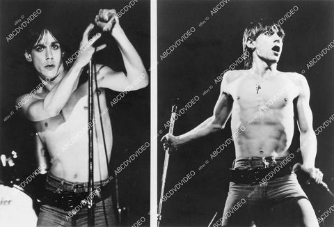 crp-03709 1970's music rock singer Iggy Pop live on stage Rolling Stone Profile crp-03709