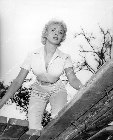 crp-03824 1958 beautiful Lisa Daniels TV The Millionaire crp-03824