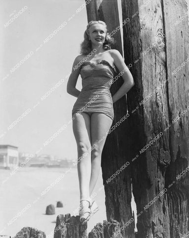 crp-00403 1940's some unknown babe does pinup pose in her swimsuit crp-00403