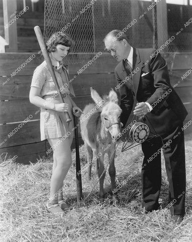 crp-04398 1935 MGM cutie pie Pete Smith short subject Donkey Baseball crp-04398