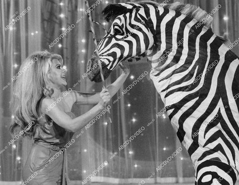 crp-04805 1977 Charo w man in zebra suit TV Circus of the Stars crp-04805