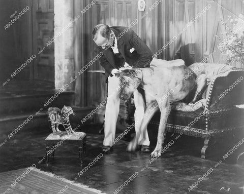 crp-05816 1930 Luther Reed on set w Great Dane dog & cat film Hell's Angels crp-05816