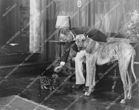 crp-05817 1930 Luther Reed on set w Great Dane dog & cat b film Hell's Angels crp-05817