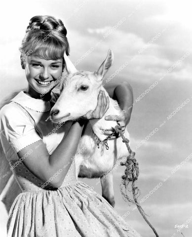 crp-06581 1967 farmer's daughter Debbie Watson w a goat film Tammy and the Millionaire crp-06581