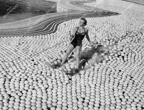 crp-00695 1954 news photo water ski champ Willa McGuire Cypress Gardens Fla skis thru 20,980 grapefruits crp-00695