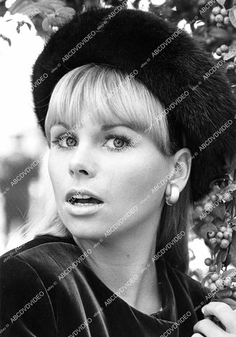 crp-07990 1960's beautiful jocelyn Lane portrait crp-07990
