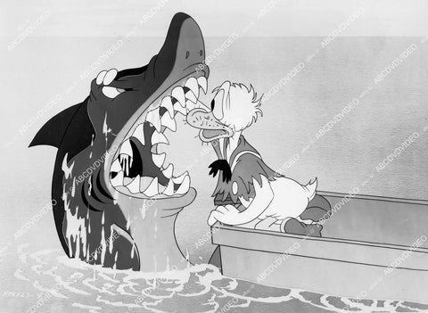 crp-08034 1945 Donald Duck & a shark Disney animated short No Sail crp-08034