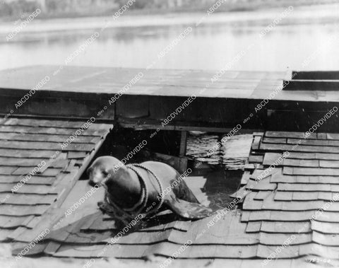 crp-08100 1924 Freddie the seal silent film The Galloping Fish crp-08100