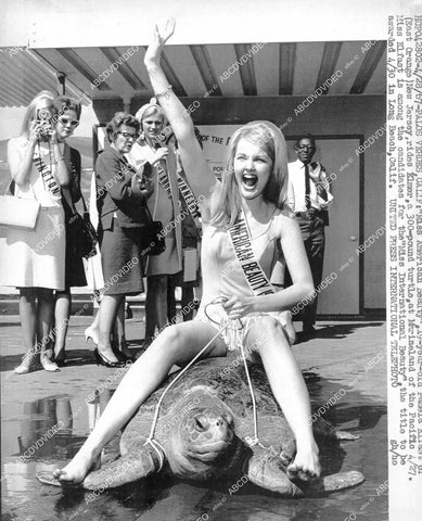 crp-08272 1967 Miss American Beauty pretty Pamela Elfast rides Elmer, 300 pound turtle Marineland of Pacific crp-08272