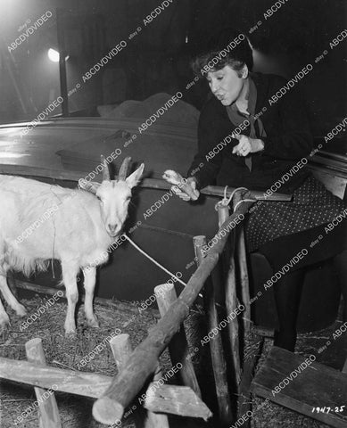 crp-08641 1965 Fifi D'Orsay feeding a goat a sandwich film The Art of Love crp-08641
