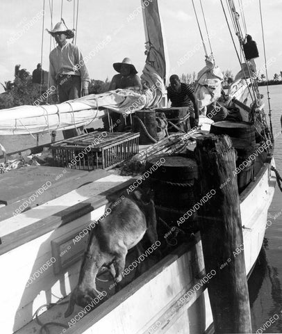 crp-09260 1951 ship deck film The Barefoot Mailman crp-09260