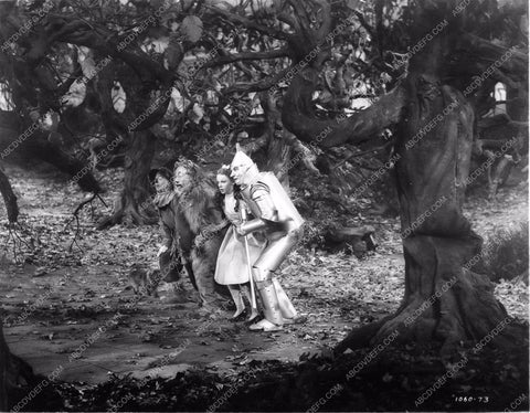 Judy Garland Ray Bolger Jack Haley Bert Lahr The Wizard of Oz woo810-10