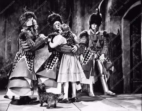 Judy Garland Ray Bolger Jack Haley Bert Lahr The Wizard of Oz woo810-13