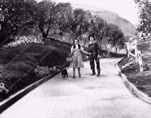 Judy Garland Ray Bolger Jack Haley Bert Lahr The Wizard of Oz woo810-20